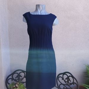 Anne Klein Navy Dress